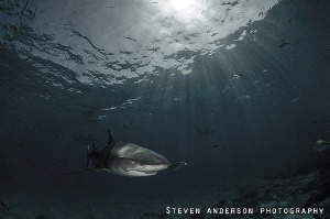 Let there be light!!! Another image taken during a safety... by Steven Anderson 